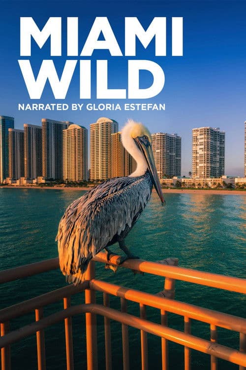 Miami Wild poster