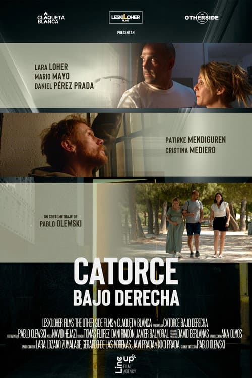 Catorce Bajo Derecha poster