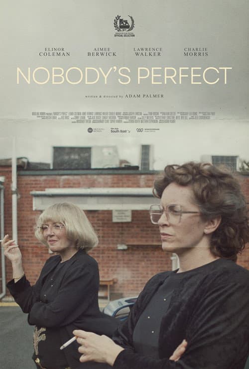 Nobody's Perfect poster