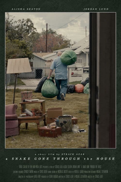 A Snake Gone Through the House poster
