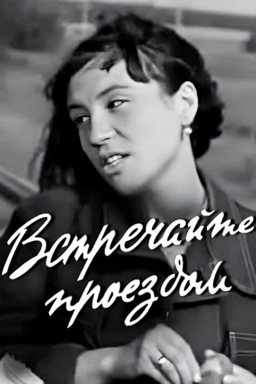 Meet Me While Passing Through poster