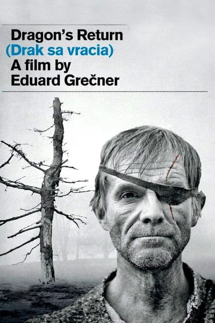 Dragon's Return poster