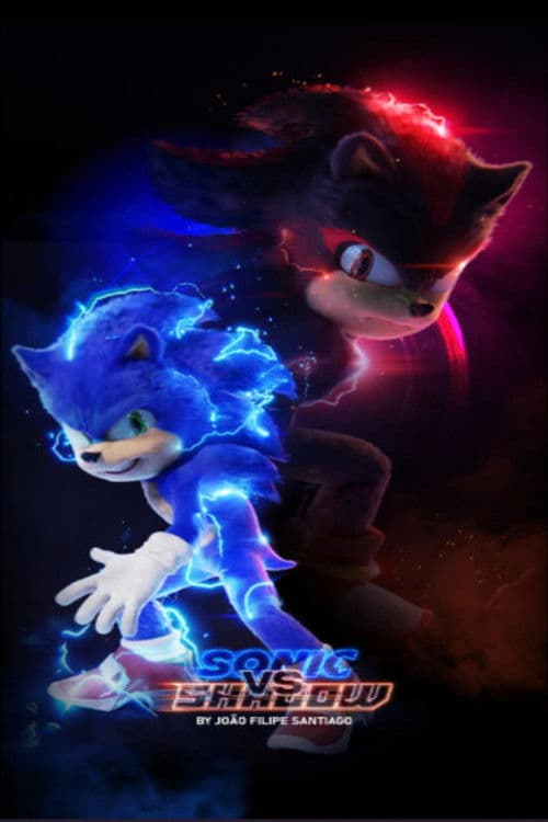 Sonic vs Shadow poster