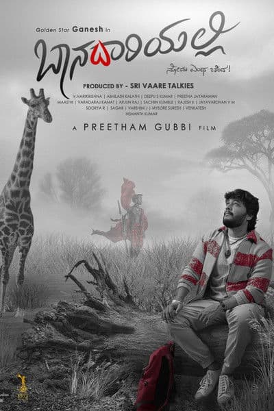 Baanadariyalli poster