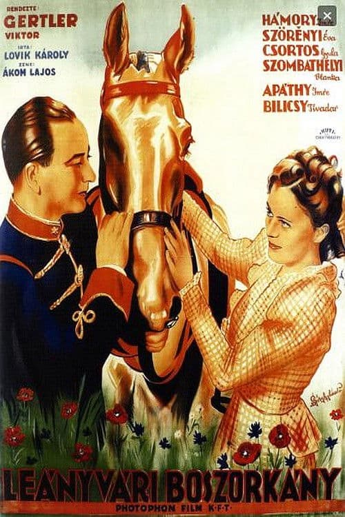 Witch of Leányvár poster