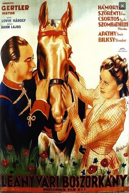 Witch of Leányvár poster