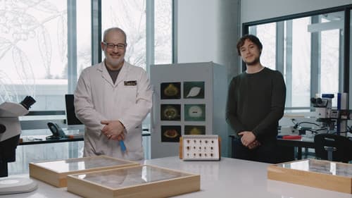 Ça grouille à l'orchestre : Génial! poster