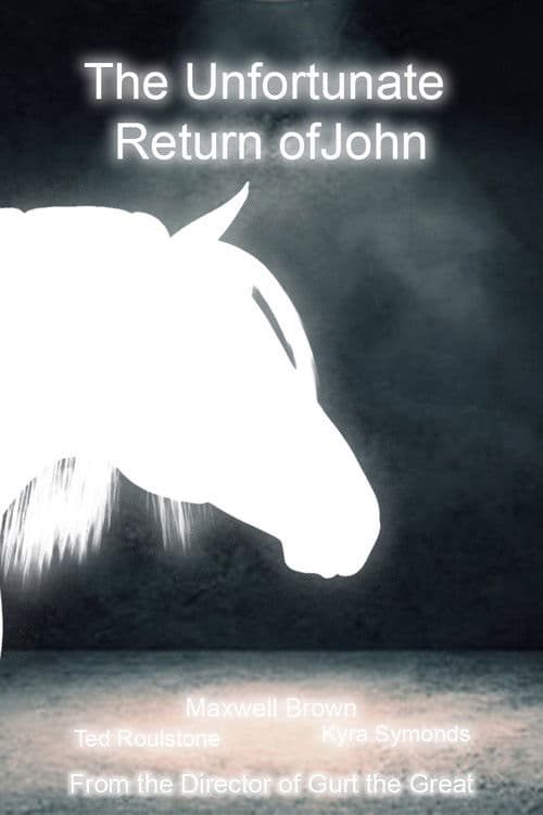 The Unfortunate Return of John poster