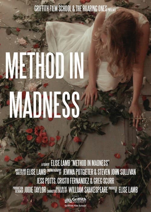 Method In Madness poster