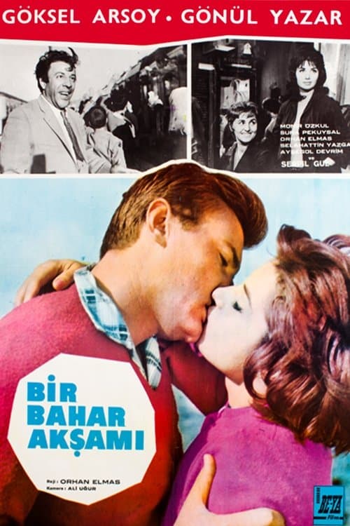Bir Bahar Akşamı poster