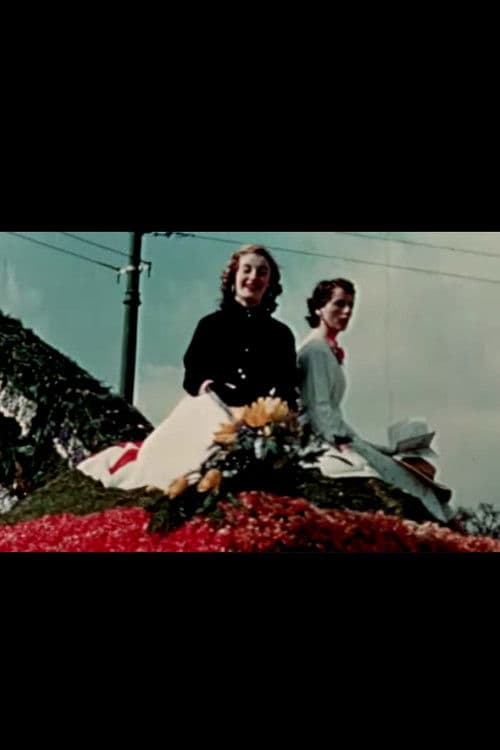 Tapestry of Ireland poster