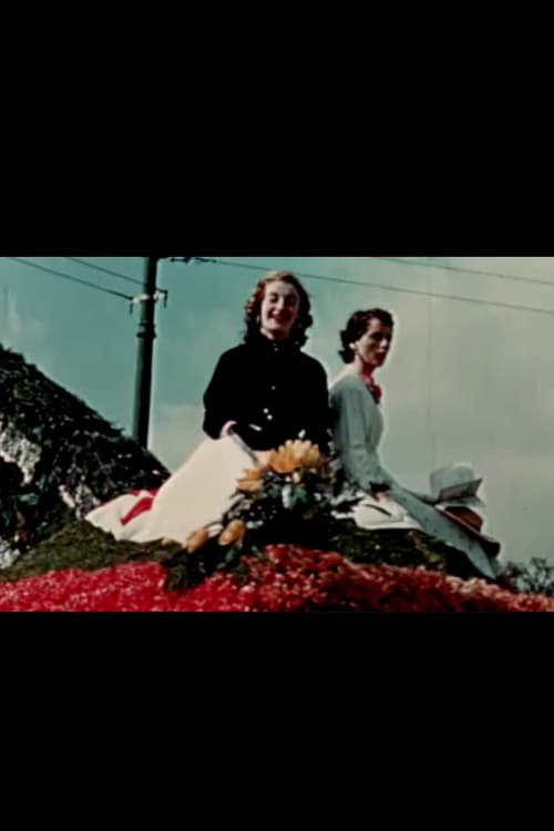 Tapestry of Ireland poster