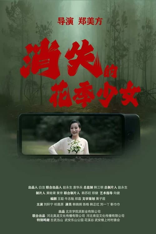 消失的花季少女 poster