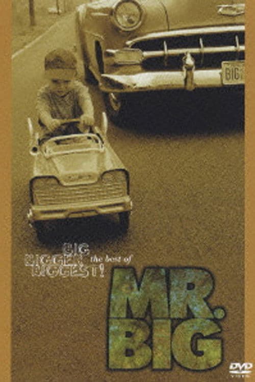 Big, Bigger, Biggest! The Best Of Mr. Big poster
