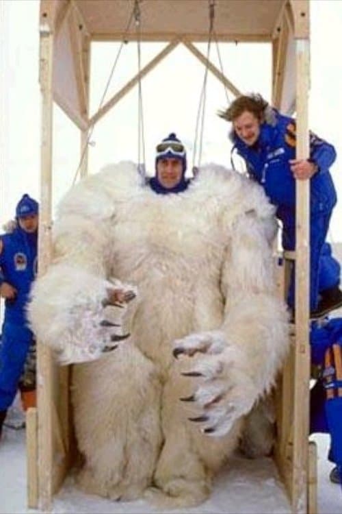 Des Webb profile photo