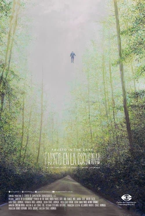 Fausto in the Dark poster