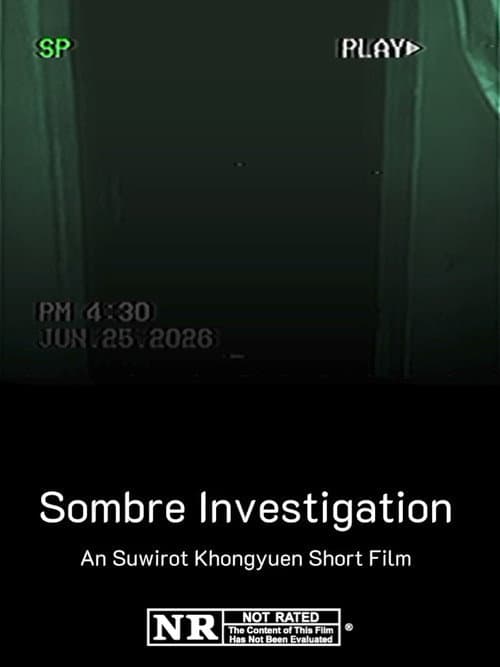 Sombre Investigation poster
