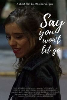 Say You Won't Let Go poster