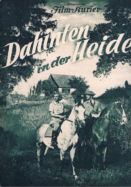 Back in the Country poster