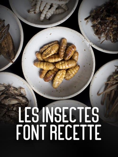 Les insectes font recette