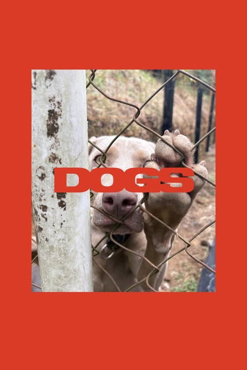 DOGS poster