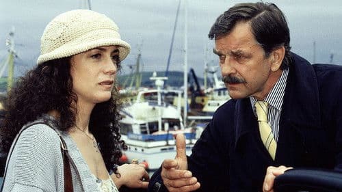 Rosamunde Pilcher: Der lange Weg zum Glück poster