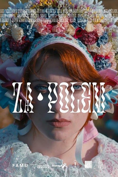 The Other Side of the Farmland poster