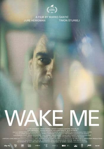 Wake Me poster