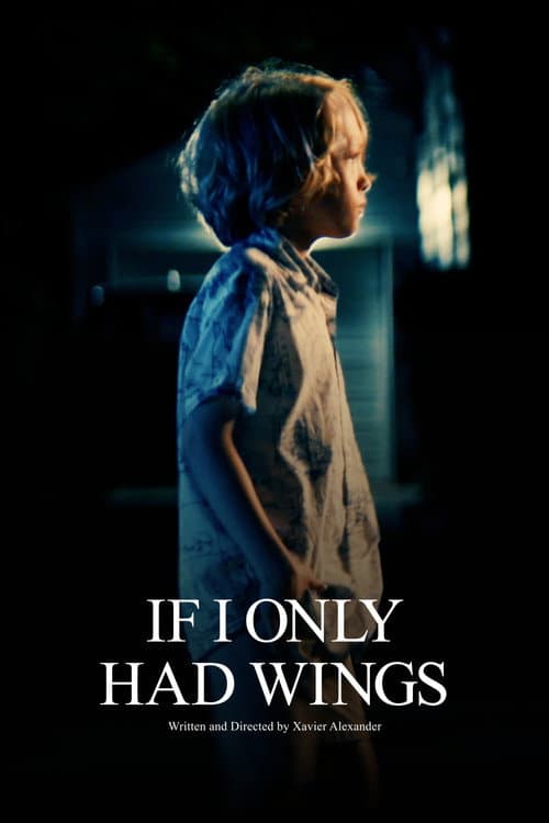 If I Only Had Wings poster
