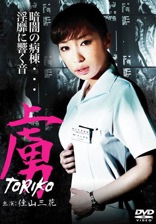 Toriko poster
