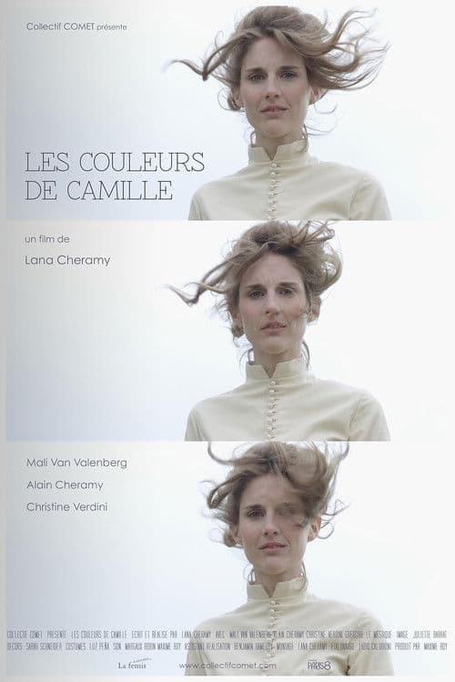 The colours of Camille poster