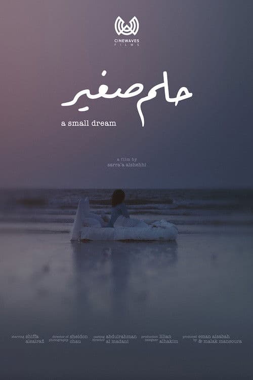 A Small Dream poster