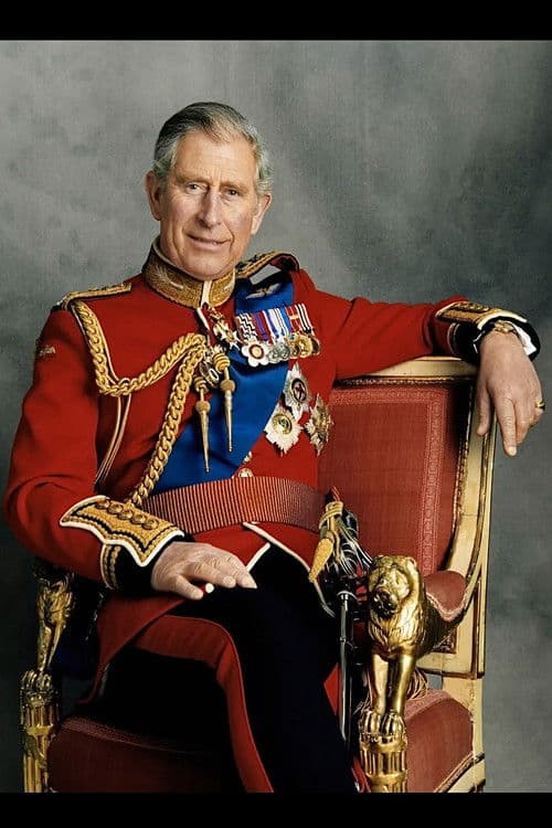 Born to be The King poster