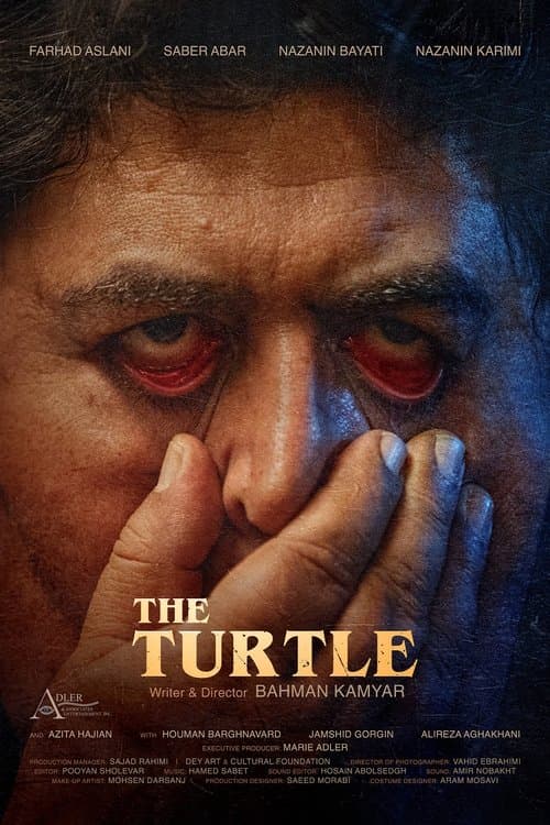 The Turtle poster