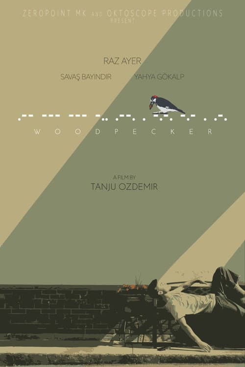 Woodpecker poster
