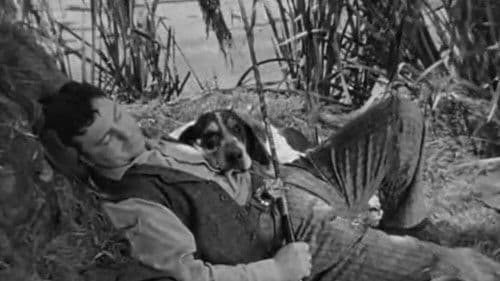 I Am an American poster