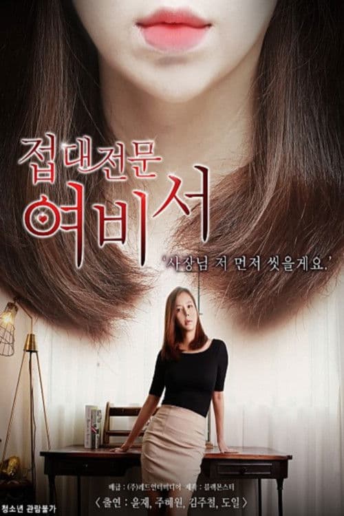접대전문 여비서 poster