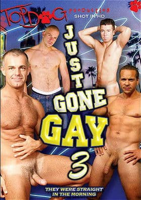 Just Gone Gay 3 poster