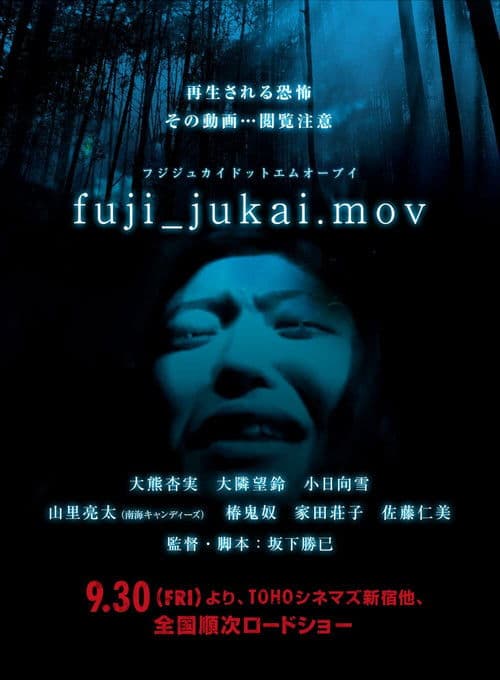 fuji_jukai.mov poster