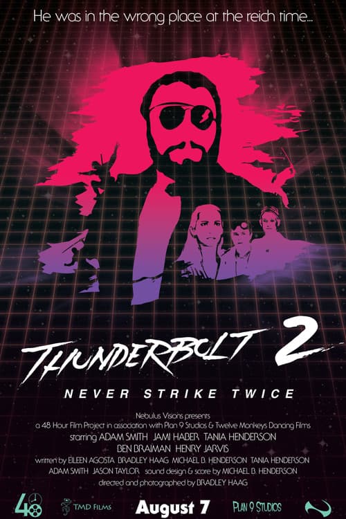 Thunderbolt 2: Never Strike Twice poster