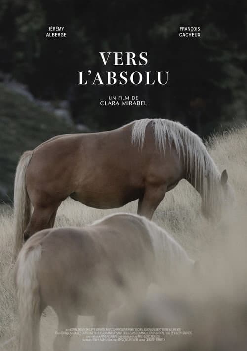Vers l'absolu poster