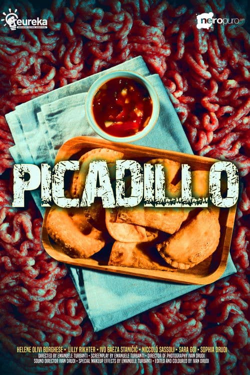 Picadillo poster