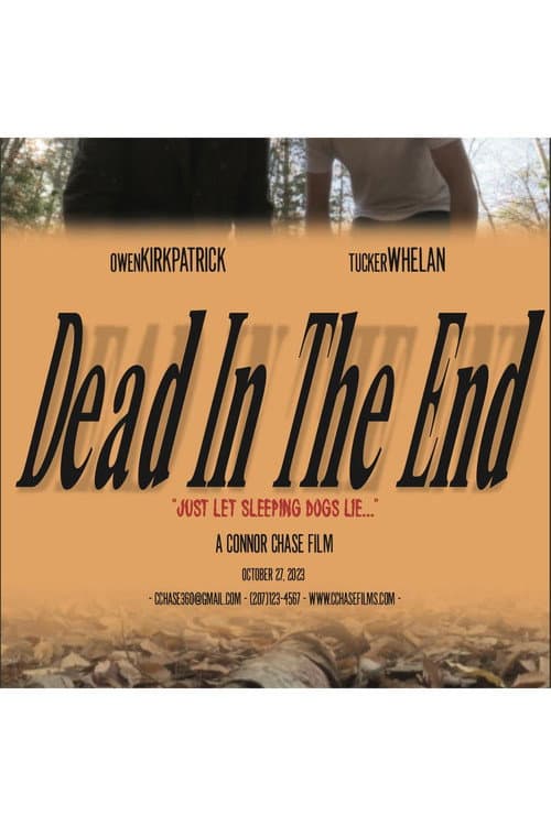 Dead In The End poster