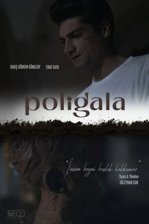 Poligala poster