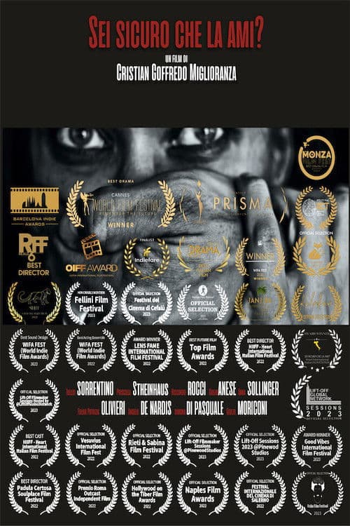 Sei sicuro che la ami? poster