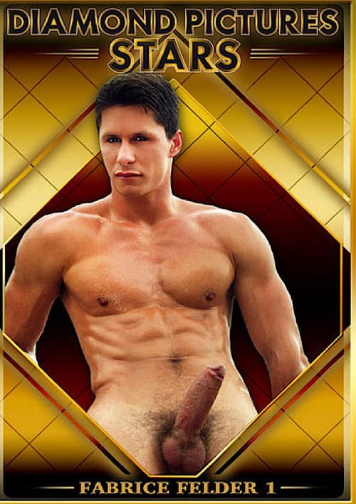 Diamond Pictures Stars: Fabrice Felder poster