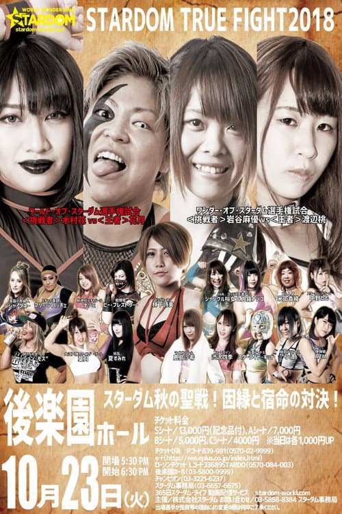 Stardom True Fight 2018 poster
