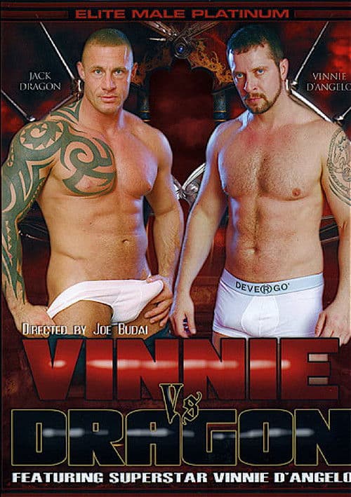 Vinnie Vs. Dragon poster