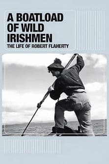 A Boatload of Wild Irishmen poster
