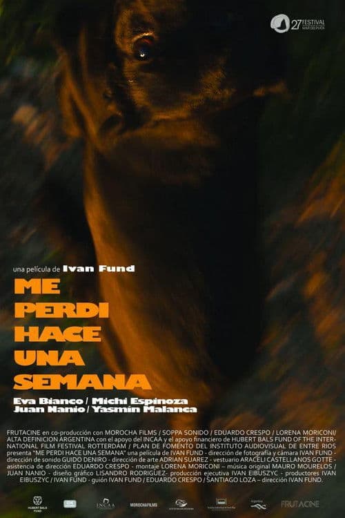 Me perdí hace una semana poster